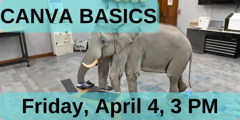 Canva Basics.  Friday, April 4, 3pm.