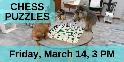 Chess Puzzles.  Friday, March 14, 3pm.