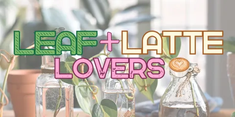 leafnlattelove