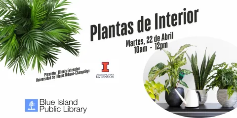 Plantas de Interior