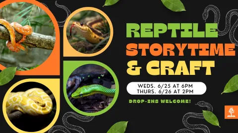 Reptile Strorytime and craft Wednesday June 25 at 6PM and Thursday June 26 at 2PM