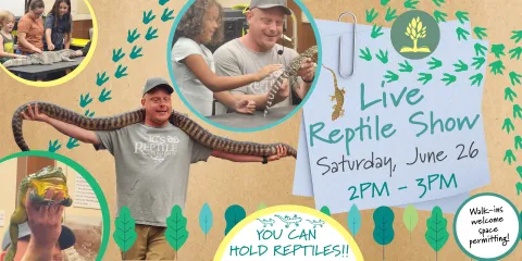 Live Reptile Show Saturday June 26 from 2-3PM