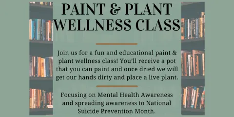p&p wellness