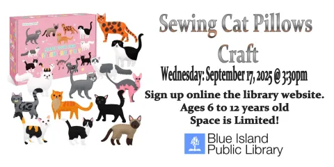 Cat Pillow Sewing Craft / September 17, 2025