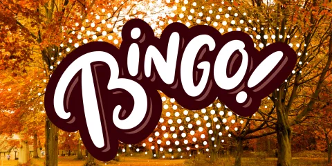 The word "Bingo" over a scene of trees with orange, red, and yellow leaves. 