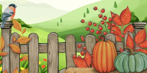 A picket fence with a hay bail positioned in front. An orange pumpkin and a pale green gourd sit atop the bale, and autumn leaves plume behind them. A colorful bird perches atop a fence post. 