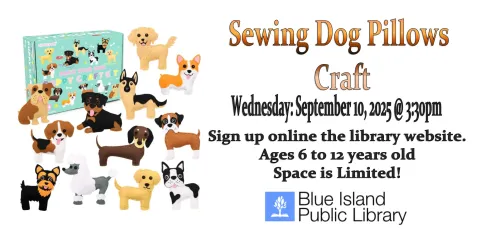 Dog Pillow Sewing Craft / September 10, 2025 @ 3:30pm