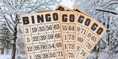 Bingo cards placed over a Winter scene with snow and trees